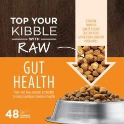 Instinct Freeze-Dried Raw Meals Real Beef Recipe Grain-Free Dog Food & Instinct Freeze-Dried Raw Boost Mixers Grain-Free Gut Health Recipe Dog Food Topper -Cozy Paws 693526 PT7. AC SS1800 V1669122279