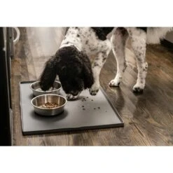 Leashboss Splash Tall Lip Dog Food Mat -Cozy Paws 694926 PT8. AC SS1800 V1669908004