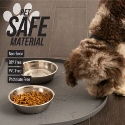 Leashboss Silicone Water Fountain Mat -Cozy Paws 694990 PT2. AC SS1800 V1682515733