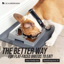 Leashboss Flat Face Slow Feeder Dog Bowl, Small/Medium -Cozy Paws 695078 PT1. AC SS1800 V1701379394