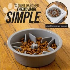 Leashboss Raised Pet Feeders Slow Feed Dog Bowl -Cozy Paws 695118 PT1. AC SS1800 V1669906555