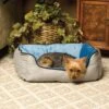 K&H Pet Products Self-Warming Two Tone Lounge Sleeper Bolster Cat & Dog Bed -Cozy Paws 69562 MAIN. AC SS1800 V1607127130