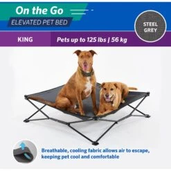 Coolaroo On The Go Elevated Cat & Dog Bed With Removable Cover -Cozy Paws 696990 PT5. AC SS1800 V1667863780