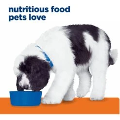 Hill's Prescription Diet C/d Multicare Urinary Care Chicken Flavor Wet Dog Food -Cozy Paws 69743 PT3. AC SS1800 V1687986100