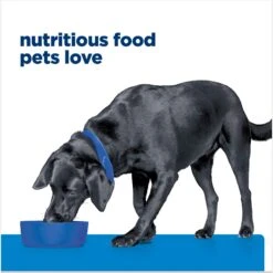 Hill's Prescription Diet D/d Skin/Food Sensitivities Salmon Formula Canned Dog Food -Cozy Paws 69748 PT6. AC SS1800 V1672947916