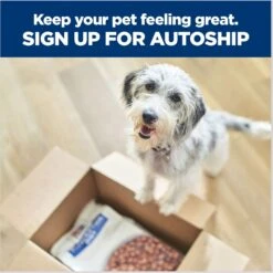 Hill's Prescription Diet D/d Skin/Food Sensitivities Salmon Formula Canned Dog Food -Cozy Paws 69748 PT8. AC SS1800 V1672948210