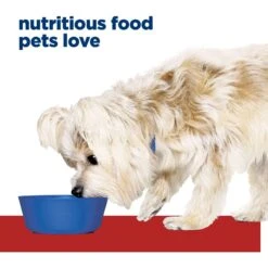 Hill's Prescription Diet G/d Aging Care Turkey Flavor Wet Senior Dog Food -Cozy Paws 69757 PT2. AC SS1800 V1687984678