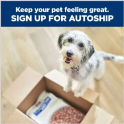 Hill's Prescription Diet G/d Aging Care Turkey Flavor Wet Senior Dog Food -Cozy Paws 69757 PT6. AC SS1800 V1687984292