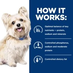 Hill's Prescription Diet G/d Aging Care Chicken Flavor Dry Senior Dog Food -Cozy Paws 69758 PT4. AC SS1800 V1668549988