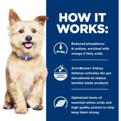 Hill's Prescription Diet K/d Kidney Care With Chicken Dry Dog Food -Cozy Paws 69772 PT4. AC SS1800 V1691772453