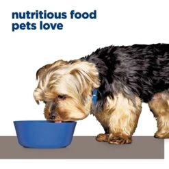 Hill's Prescription Diet L/d Liver Care Chicken Flavor Dry Dog Food -Cozy Paws 69776 PT7. AC SS1800 V1668547814