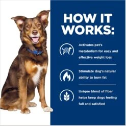 Hill's Prescription Diet Metabolic Chicken Flavor Dry Dog Food -Cozy Paws 69782 PT5. AC SS1800 V1668547817