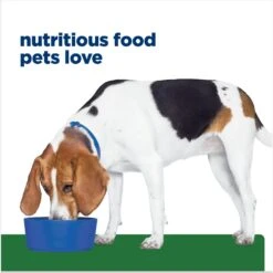 Hill's Prescription Diet R/d Weight Reduction Original Canned Dog Food -Cozy Paws 69783 PT6. AC SS1800 V1672947980