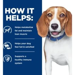 Hill's Prescription Diet R/d Weight Reduction Chicken Flavor Dry Dog Food -Cozy Paws 69786 PT5. AC SS1800 V1657661020