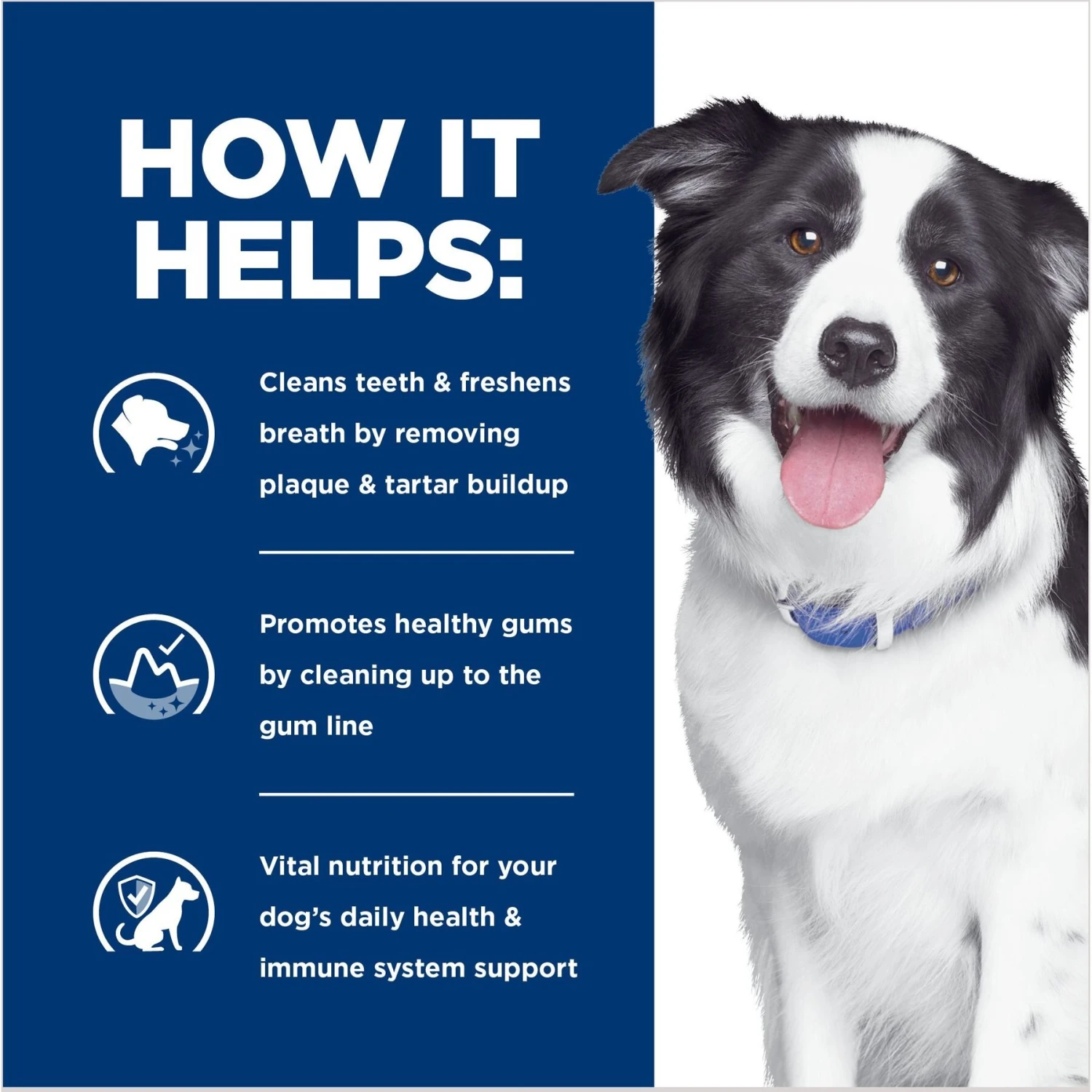 Hill's Prescription Diet T/d Dental Care Chicken Flavor Dry Dog Food 6 Hill's Prescription Diet T/d Dental Care Chicken Flavor Dry Dog Food - Image 4