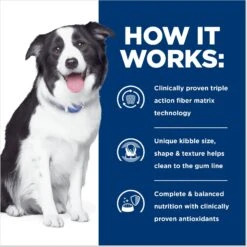 Hill's Prescription Diet T/d Dental Care Chicken Flavor Dry Dog Food 15 Hill's Prescription Diet T/d Dental Care Chicken Flavor Dry Dog Food -Cozy Paws 69790 PT4. AC SS1800 V1668550939