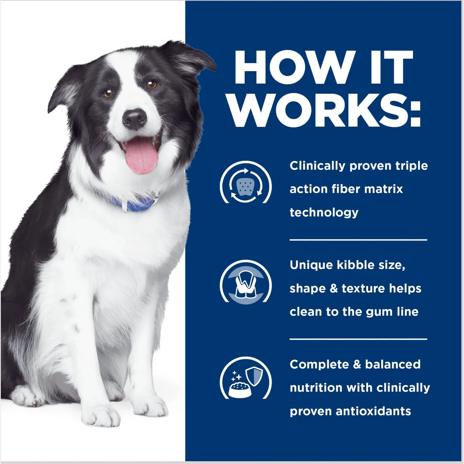Hill's Prescription Diet T/d Dental Care Chicken Flavor Dry Dog Food 7 Hill's Prescription Diet T/d Dental Care Chicken Flavor Dry Dog Food - Image 5