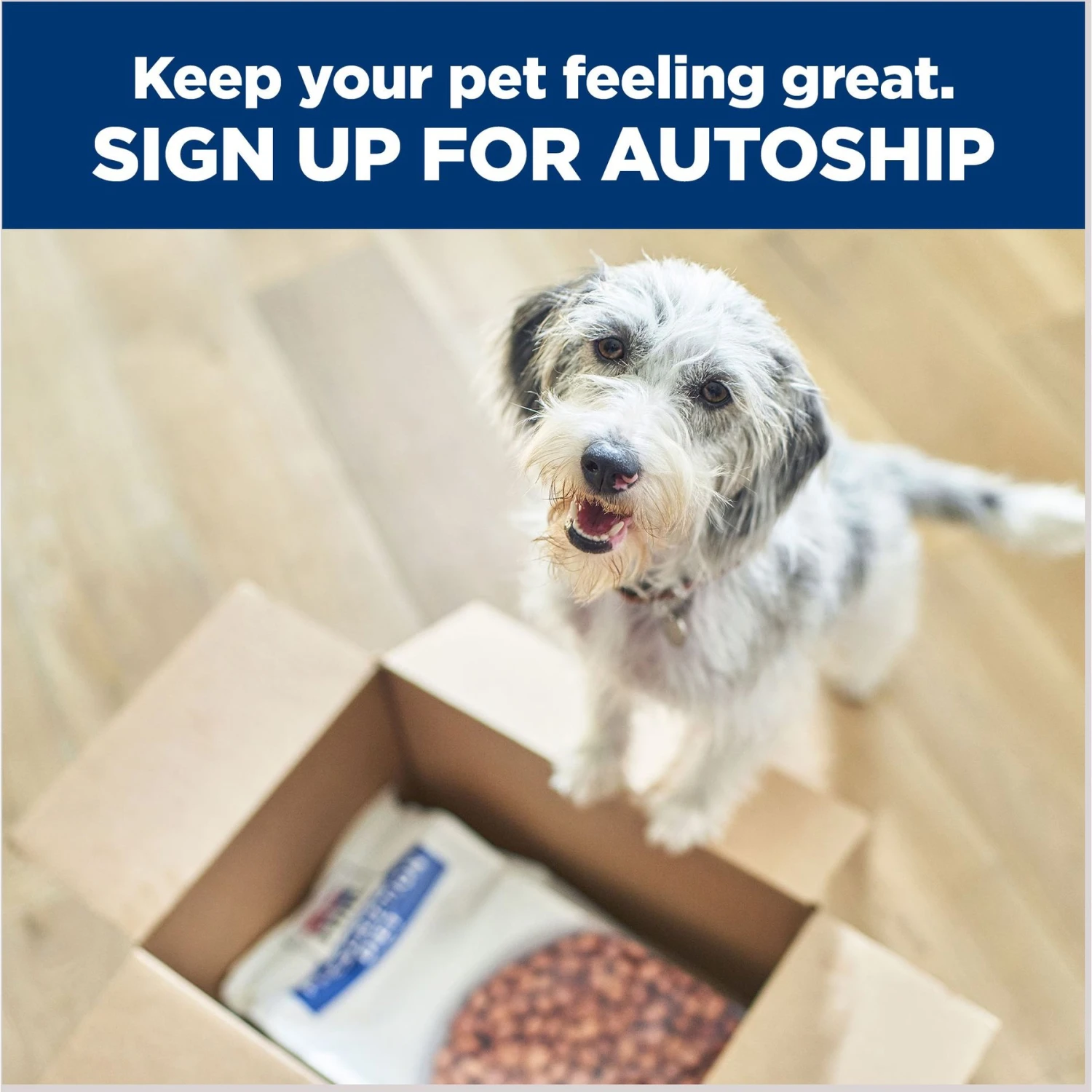 Hill's Prescription Diet T/d Dental Care Chicken Flavor Dry Dog Food 11 Hill's Prescription Diet T/d Dental Care Chicken Flavor Dry Dog Food - Image 9