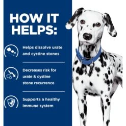 Hill's Prescription Diet U/d Urinary Care Original Flavor Dry Dog Food 15 Hill's Prescription Diet U/d Urinary Care Original Flavor Dry Dog Food -Cozy Paws 69795 PT4. AC SS1800 V1657661020