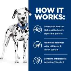 Hill's Prescription Diet U/d Urinary Care Original Flavor Dry Dog Food 16 Hill's Prescription Diet U/d Urinary Care Original Flavor Dry Dog Food -Cozy Paws 69795 PT5. AC SS1800 V1657661020