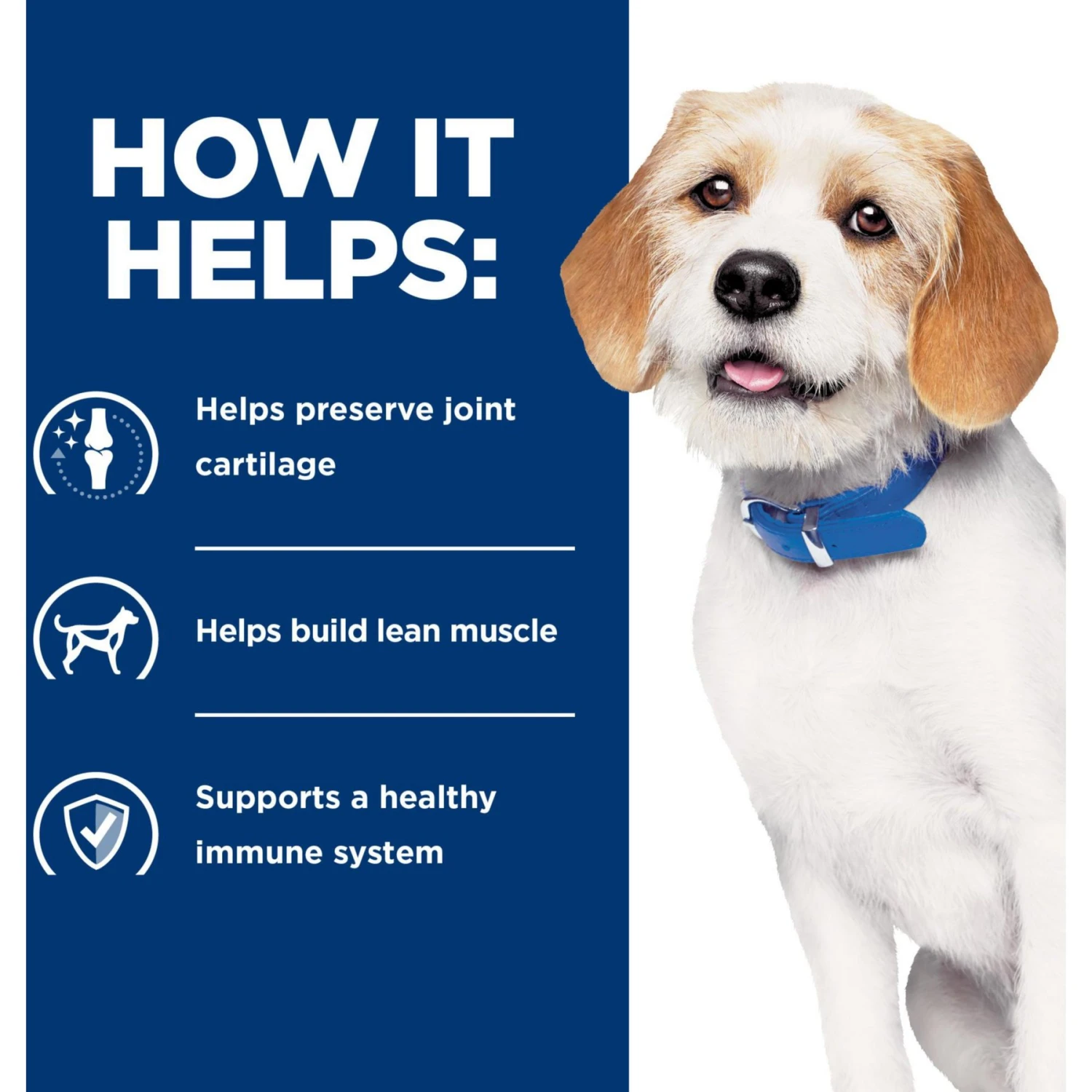 Hill's Prescription Diet J/d Joint Care Small Bites Chicken Flavor Dry Dog Food 6 Hill's Prescription Diet J/d Joint Care Small Bites Chicken Flavor Dry Dog Food - Image 4