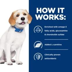 Hill's Prescription Diet J/d Joint Care Small Bites Chicken Flavor Dry Dog Food 15 Hill's Prescription Diet J/d Joint Care Small Bites Chicken Flavor Dry Dog Food -Cozy Paws 69859 PT4. AC SS1800 V1687983006