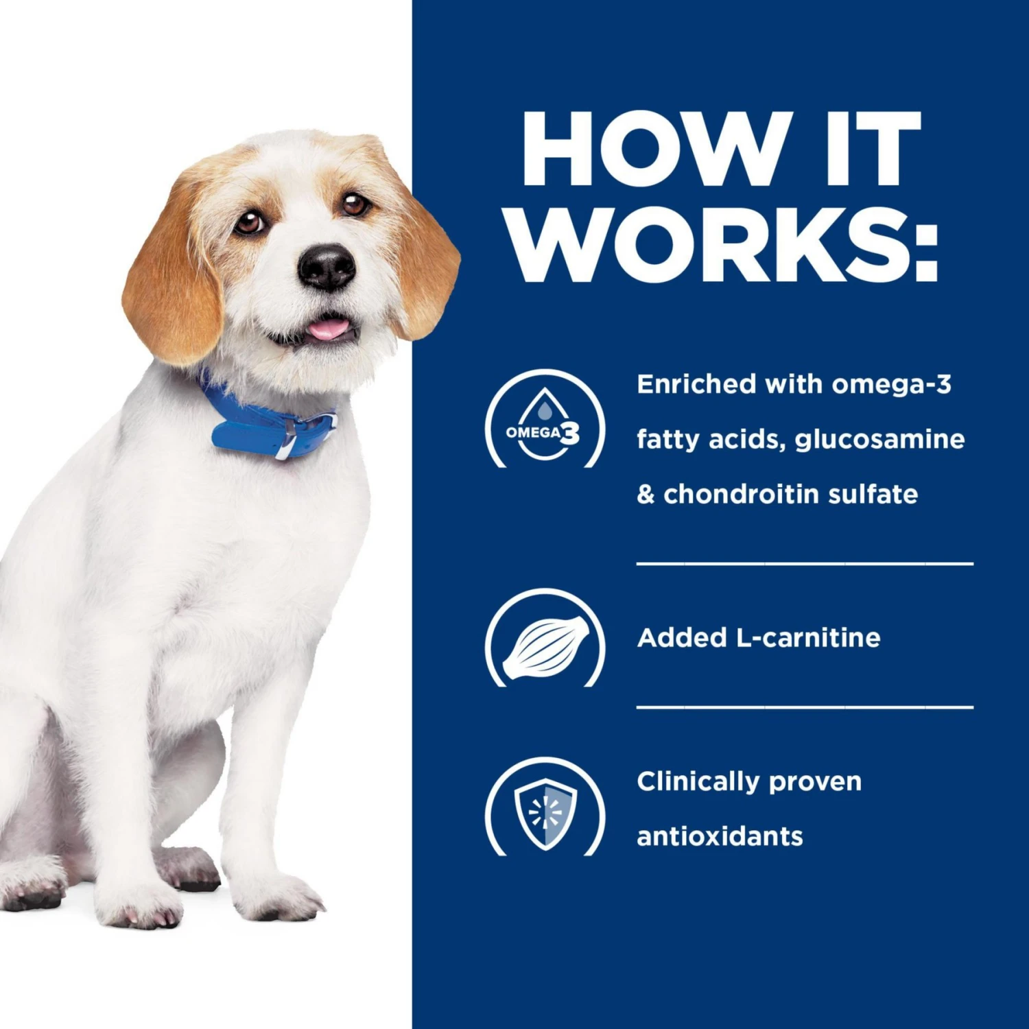Hill's Prescription Diet J/d Joint Care Small Bites Chicken Flavor Dry Dog Food 7 Hill's Prescription Diet J/d Joint Care Small Bites Chicken Flavor Dry Dog Food - Image 5