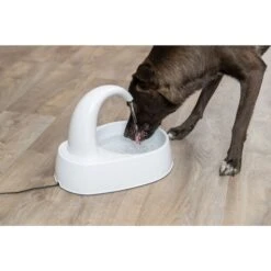 TRIXIE Curved Stream Cat & Dog Water Fountain, White, 84.5-oz 12 TRIXIE Curved Stream Cat & Dog Water Fountain, White, 84.5-oz -Cozy Paws 701774 PT2. AC SS1800 V1688752030