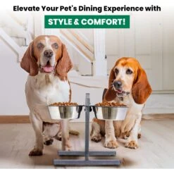 Iconic Pet Adjustable Stainless Steel Elevated Dog Bowl, H Design -Cozy Paws 701886 PT5. AC SS1800 V1668110985