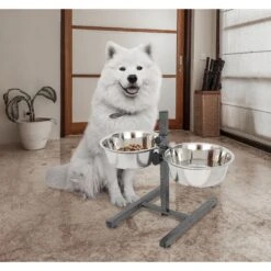 Iconic Pet Adjustable Stainless Steel Elevated Dog Bowl, H Design -Cozy Paws 701886 PT6. AC SS1800 V1668110956