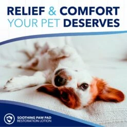 TropiClean OxyMed Soothing Paw Balm With Shea Butter Dog & Cat Cream, 4-oz Bottle -Cozy Paws 704262 PT6. AC SS1800 V1671551852