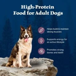 Blue Buffalo Wilderness Rocky Mountain Recipe Adult High Protein Natural Bison & Grain Dry Dog Food, 28-lb Bag -Cozy Paws 711246 PT3. AC SS1800 V1694548942