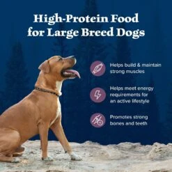 Blue Buffalo Wilderness Rocky Mountain Recipe Large Breed Adult High Protein Natural Bison & Grain Dry Dog Food, 28-lb Bag -Cozy Paws 711278 PT3. AC SS1800 V1694549409