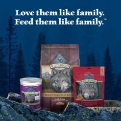 Blue Buffalo Wilderness Rocky Mountain Recipe Large Breed Adult High Protein Natural Bison & Grain Dry Dog Food, 28-lb Bag -Cozy Paws 711278 PT8. AC SS1800 V1694547773