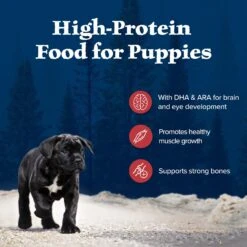 Blue Buffalo Wilderness Rocky Mountain Recipe Puppy High Protein Natural Red Meat & Grain Dry Dog Food -Cozy Paws 711310 PT2. AC SS1800 V1694547716
