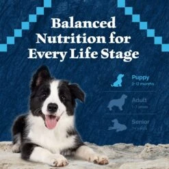 Blue Buffalo Wilderness Rocky Mountain Recipe Puppy High Protein Natural Red Meat & Grain Dry Dog Food -Cozy Paws 711310 PT6. AC SS1800 V1694549407