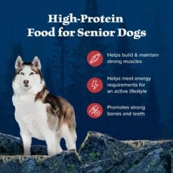 Blue Buffalo Wilderness Rocky Mountain Recipe Senior High Protein Natural Red Meat & Grain Dry Dog Food, 28-lb Bag -Cozy Paws 711326 PT3. AC SS1800 V1694547714