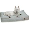 Bark And Slumber Birdie Plush Eco Friendly Fabric Lounger Dog Bed -Cozy Paws 716998 MAIN. AC SS1800 V1669666582