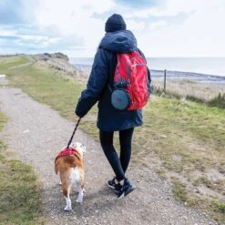 KONG Fold-Up Double Dog Bowl -Cozy Paws 721518 PT4. AC SS1800 V1671029542