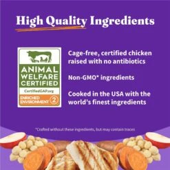 Halo Holistic Complete Digestive Health Grain-Free Chicken & Sweet Potato Dog Food Recipe Adult Dry Dog Food -Cozy Paws 721966 PT4. AC SS1800 V1669838100