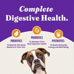 Halo Holistic Complete Digestive Health Grain-Free Chicken & Sweet Potato Dog Food Recipe Adult Dry Dog Food -Cozy Paws 721966 PT5. AC SS1800 V1669838218