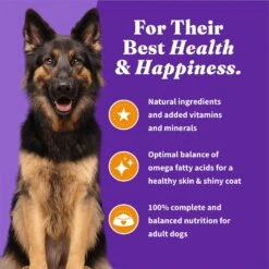 Halo Holistic Complete Digestive Health Grain-Free Chicken & Sweet Potato Dog Food Recipe Adult Dry Dog Food -Cozy Paws 721966 PT6. AC SS1800 V1669838100