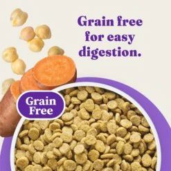 Halo Holistic Complete Digestive Health Grain-Free Chicken & Sweet Potato Dog Food Recipe Adult Dry Dog Food -Cozy Paws 721966 PT7. AC SS1800 V1669838102