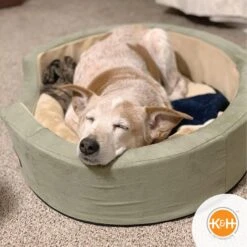 K&H Pet Products Thermo-Snuggly Sleeper Heated Dog Bed -Cozy Paws 72233 PT3. AC SS1800 V1698868498