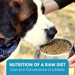 KetoNatural Ketona Salmon Recipe Grain-Free Adult Dry Dog Food -Cozy Paws 727302 PT6. AC SS1800 V1669825357