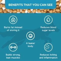 KetoNatural Ketona Salmon Recipe Grain-Free Adult Dry Dog Food -Cozy Paws 727302 PT7. AC SS1800 V1669828529