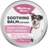 Wellnergy Pets Manuka Honey Soothing Wound Care Dog Balm, 1.75-oz Bottle -Cozy Paws 727398 MAIN. AC SS1800 V1678211201