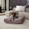Happy Hounds Bailey Rectangle Pillow Dog Bed With Removable Cover -Cozy Paws 727774 MAIN. AC SS1800 V1698939398