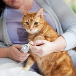 Rechargeable Cordless Cat & Dog 3-Speed Nail Grinder, White -Cozy Paws 729774 PT5. AC SS1800 V1683147135