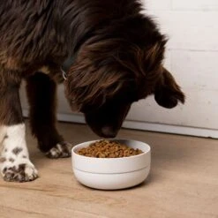 Waggo Cling Non-Skid Silicone Bottom Dog & Cat Bowl -Cozy Paws 731438 PT3. AC SS1800 V1698346581